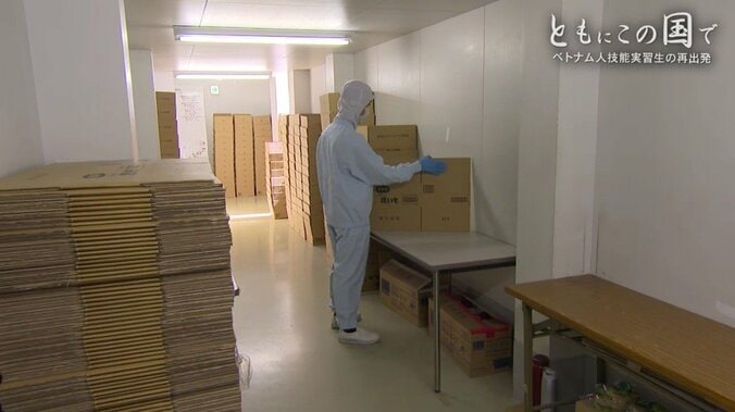 後を絶たない「失踪」の選択、子どもを産み育てることへの不安…日本で働く外国人が「当たり前の暮らし」ができる日は? 2枚目