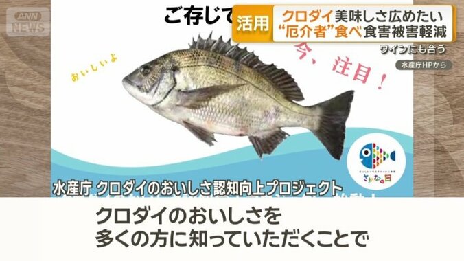 こうした状況を変えようと…