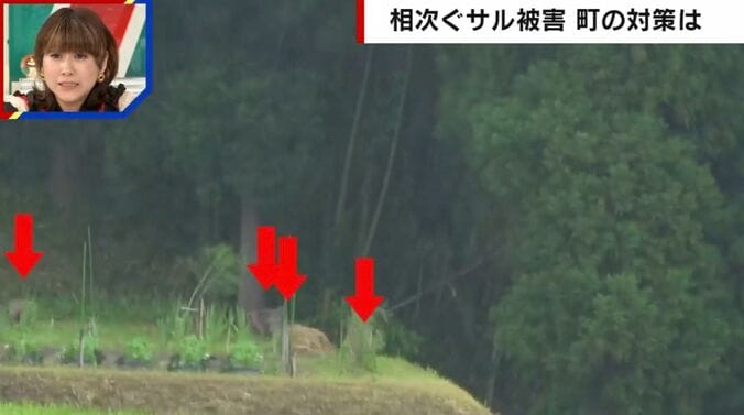 相次ぐサル被害 町の対策は