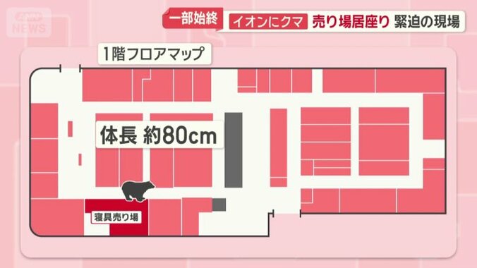 寝具売り場付近に居座る