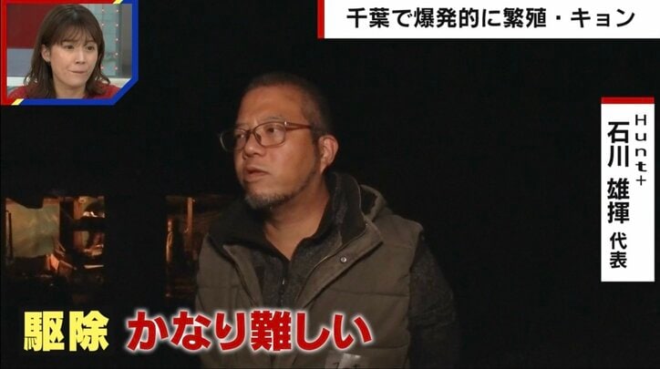千葉県で「キョン」が大量繁殖も捕獲進まず…「駆除するときに泣き叫ぶ。心がやられる」猟師が吐露する駆除の実情
