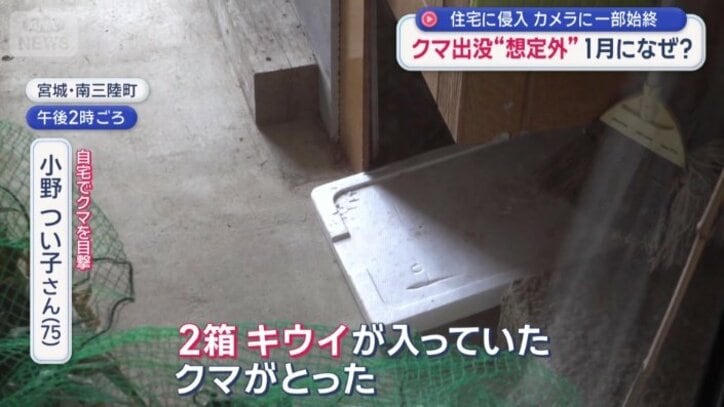 「キウイを8割ほど食べちゃった」