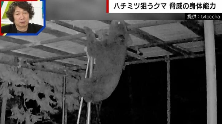 提供：tvtoccha