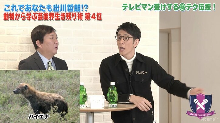 アンタッチャブル 柴田が伝授 動物の生態から学ぶ芸能界生き残り術 Abematv 告知 Abema Times