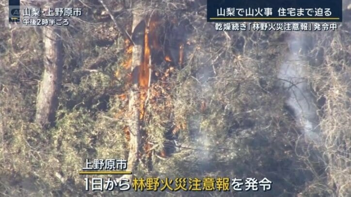 林野火災注意報