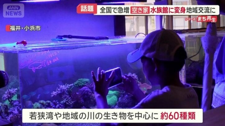若狭湾や地域の川の生き物を中心に展示