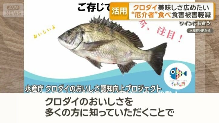 こうした状況を変えようと…