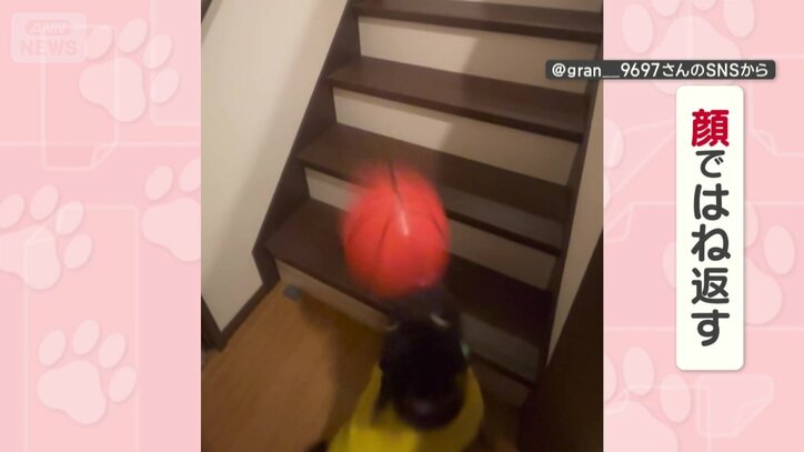 顔でボールをはね返す