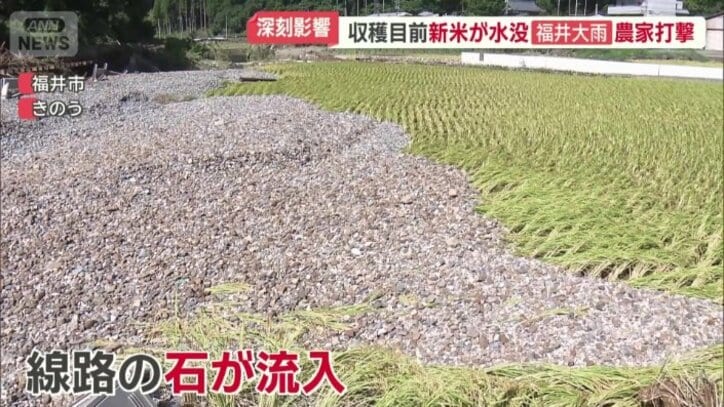 線路の石が流入した田んぼ