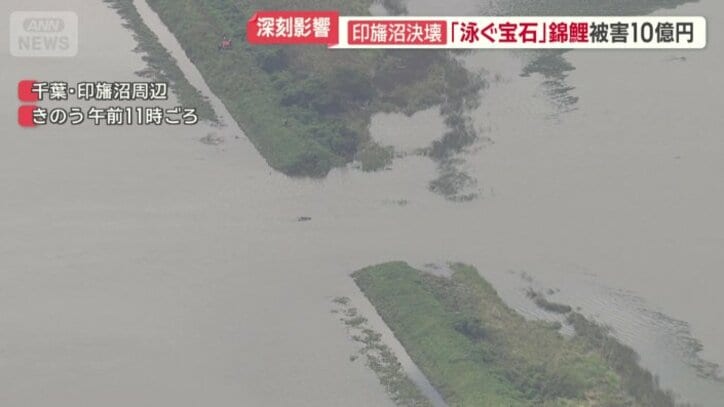 24日の印旛沼周辺
