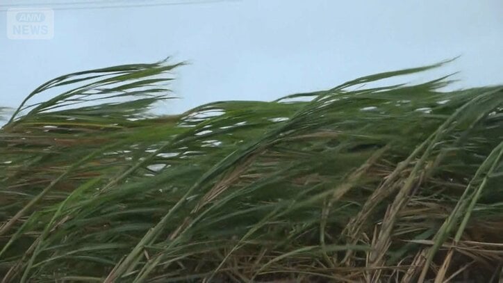 「想定外」気温が一転急降下 北海道で初雪　沖縄に接近へ「台風30号」