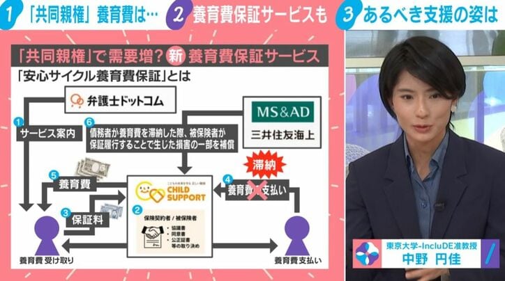 「安心サイクル養育費保証」／中野円佳氏